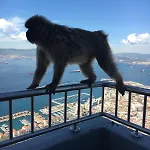 公寓 Monte Duquesa Courtyard Close To Port, Beach, Golf 马尼尔瓦